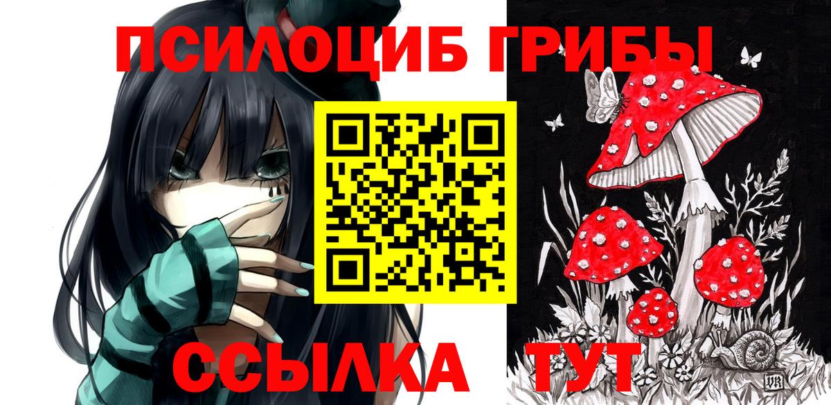 Кисловодск  Галлюциногенные грибы Magic Shrooms  Вход с VPN  Псилоцибиновые грибы Cubensis 